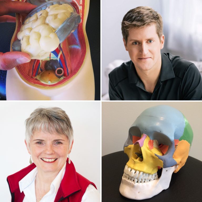 The Osteopathic Approach at Envision Physiotherapy: How Neural and Visceral Manipulation can help resistant pain problems